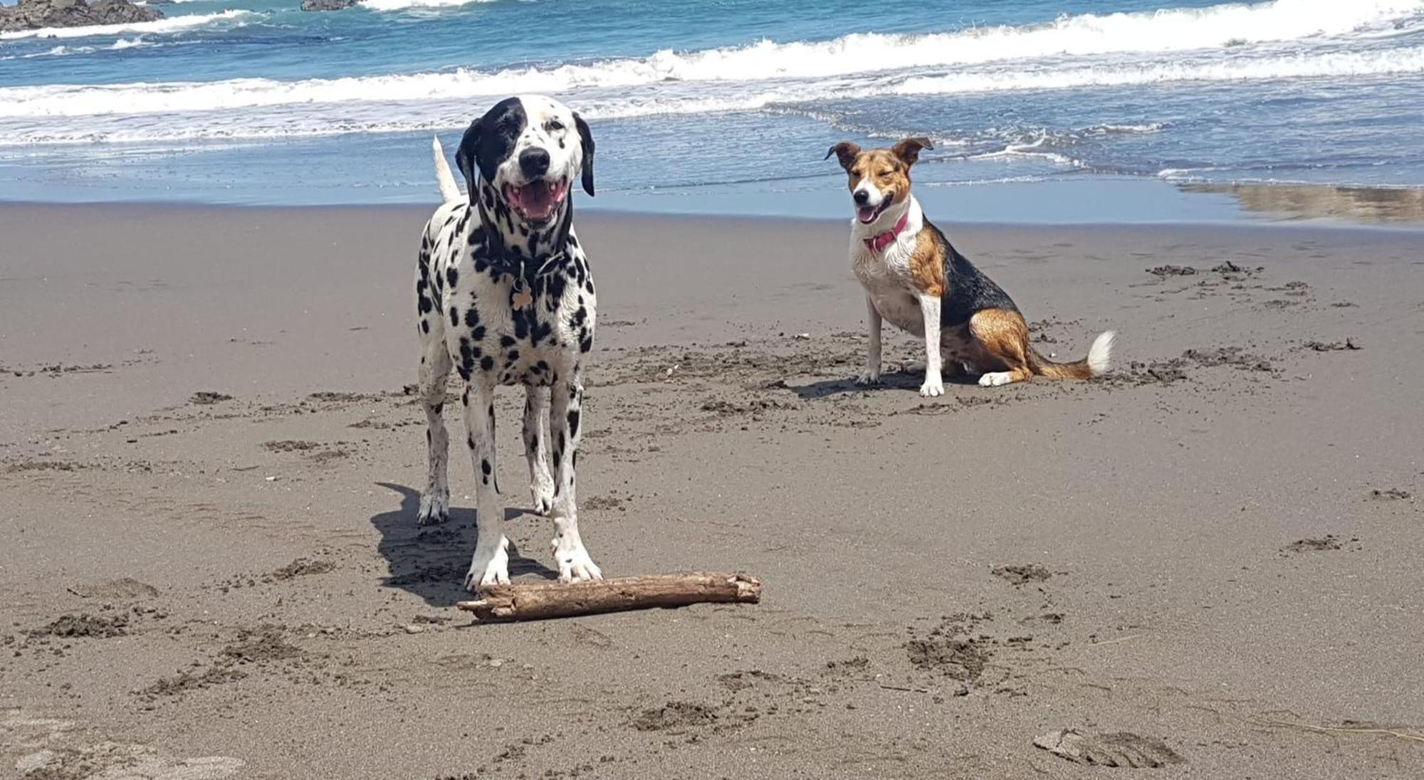 Port Waikato Holiday Park 외부 사진
