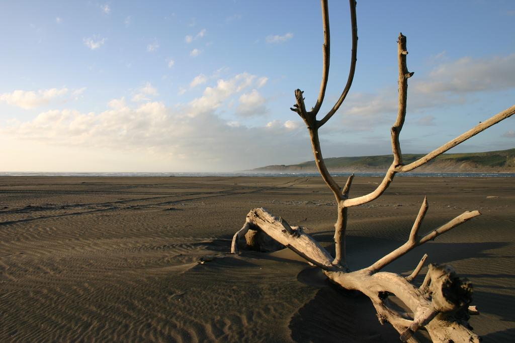 Port Waikato Holiday Park 외부 사진